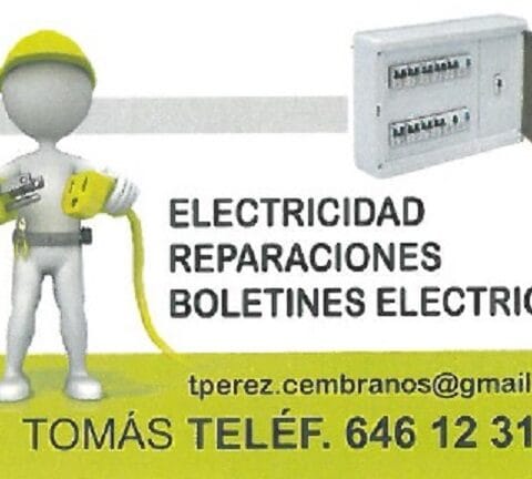 Electricidad Tomas Perez